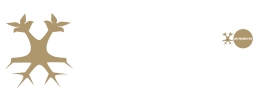 ontwikkeld door bac online logo